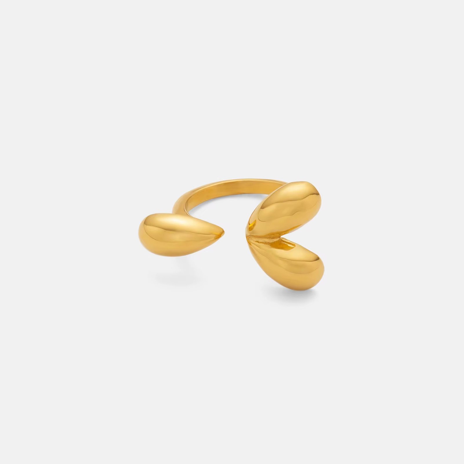 IMG_1998.jpg Bague 3 Pommes – Image 1